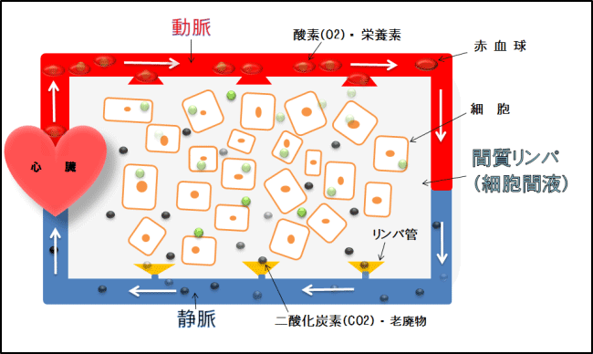 さとう式リンパ