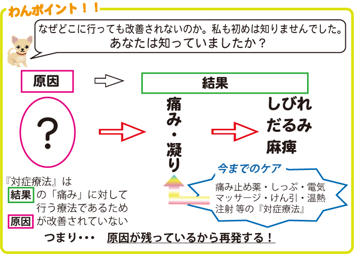 根本療法